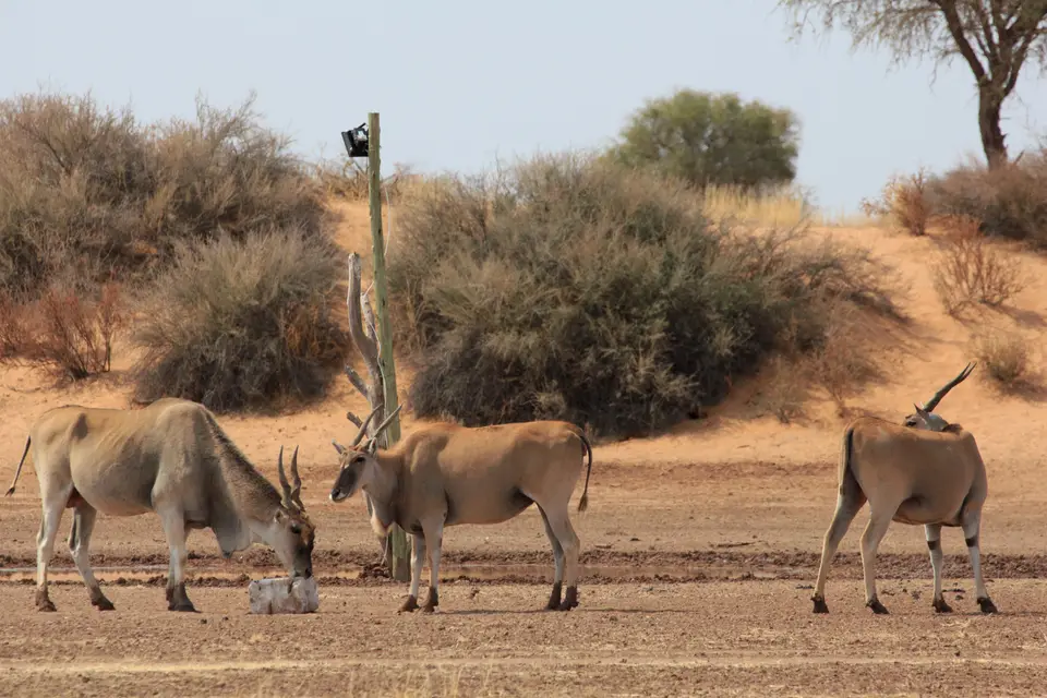 2016-Namibia-8911.jpg