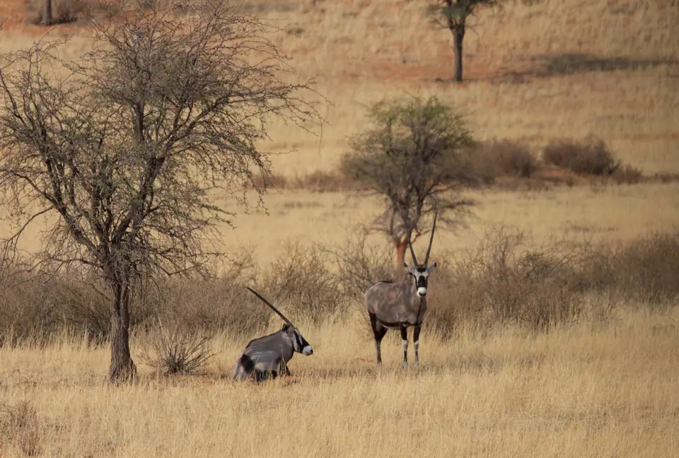 2016-Namibia-8927.jpg