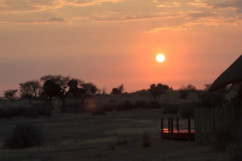 2016-Namibia-9035.jpg