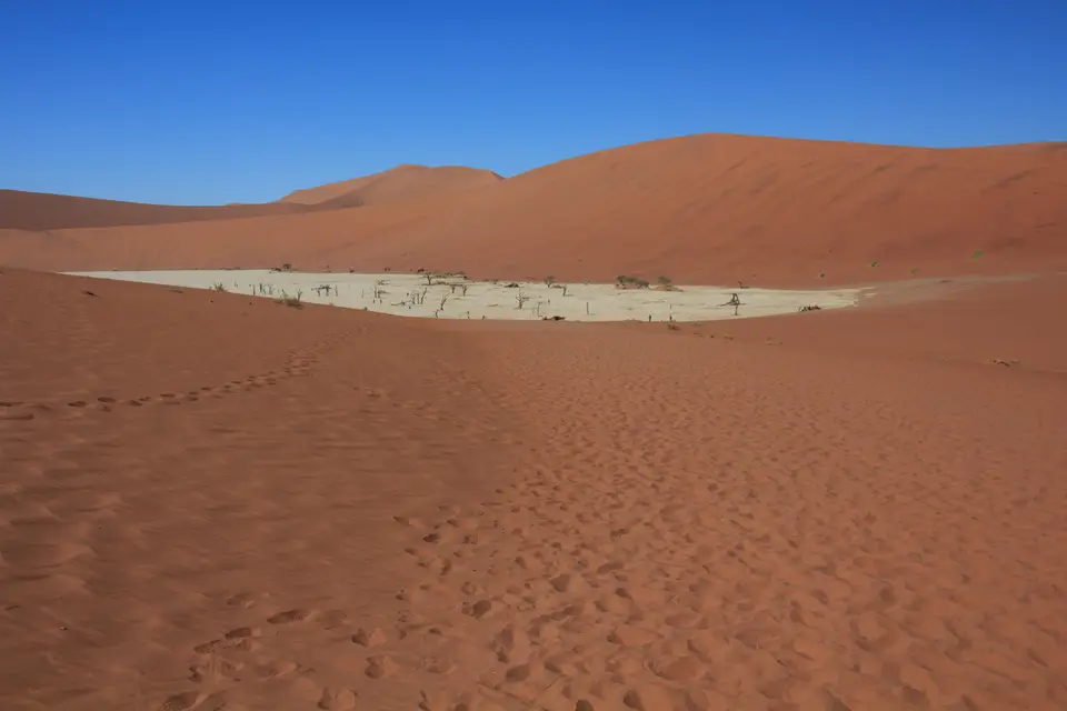 2016-Namibia-9068.jpg
