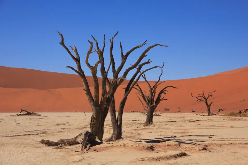 2016-Namibia-9069.jpg