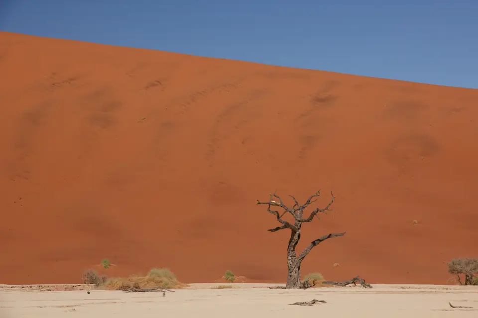 2016-Namibia-9088.jpg