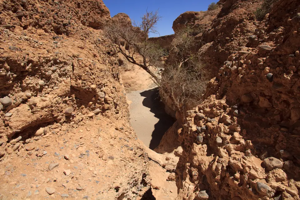 2016-Namibia-9098.jpg