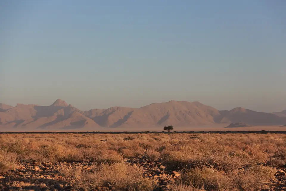 2016-Namibia-9104.jpg