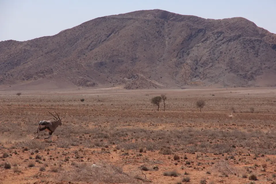 2016-Namibia-9134.jpg