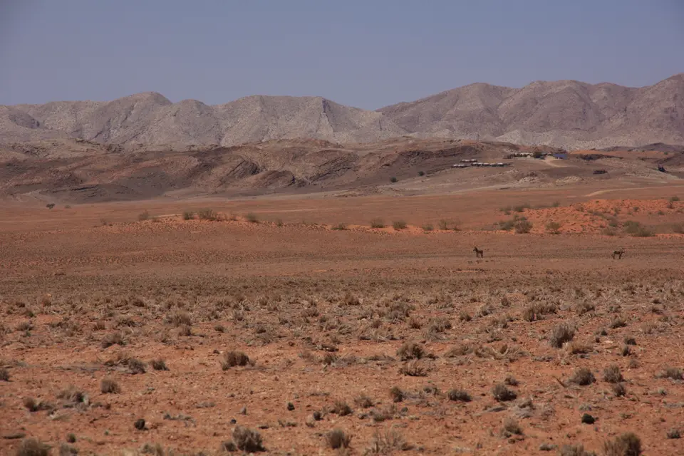 2016-Namibia-9143.jpg