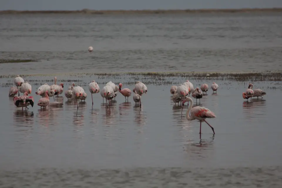 2016-Namibia-9193.jpg