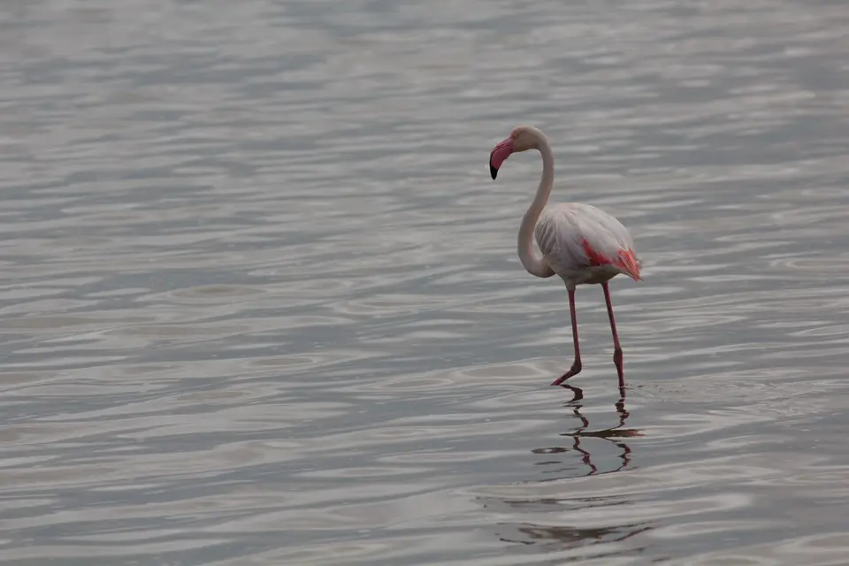 2016-Namibia-9203.jpg