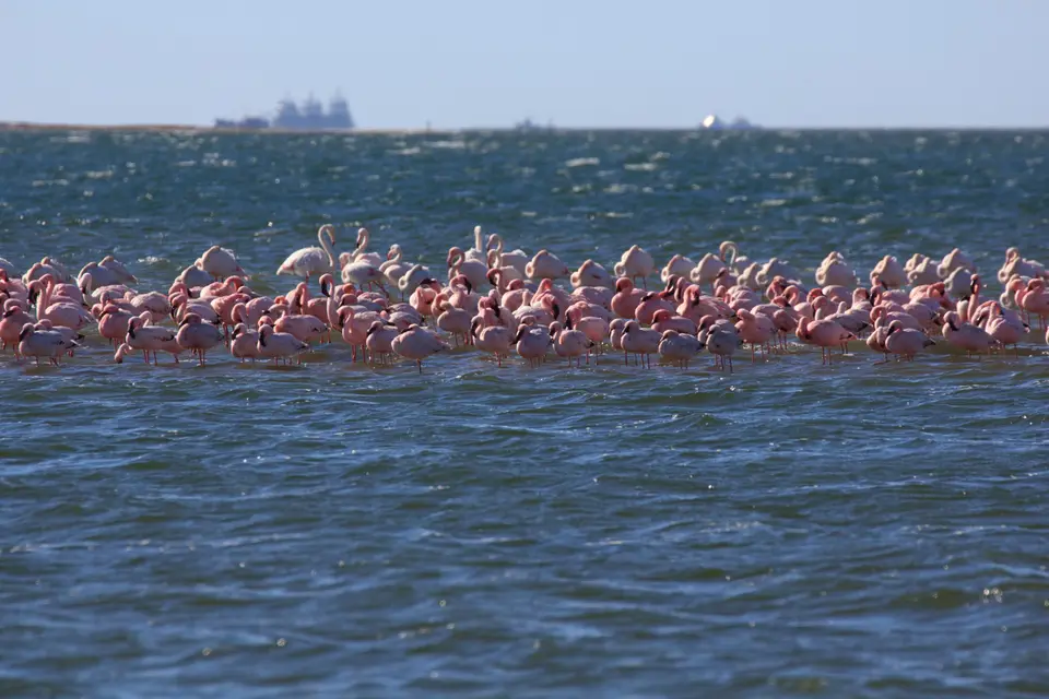 2016-Namibia-9293.jpg
