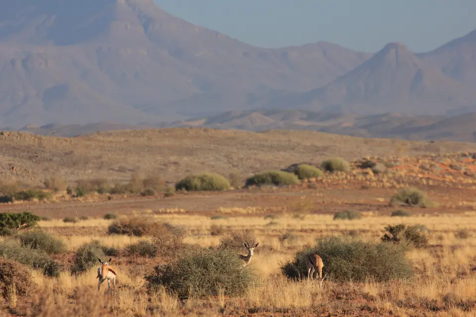 2016-Namibia-9316.jpg
