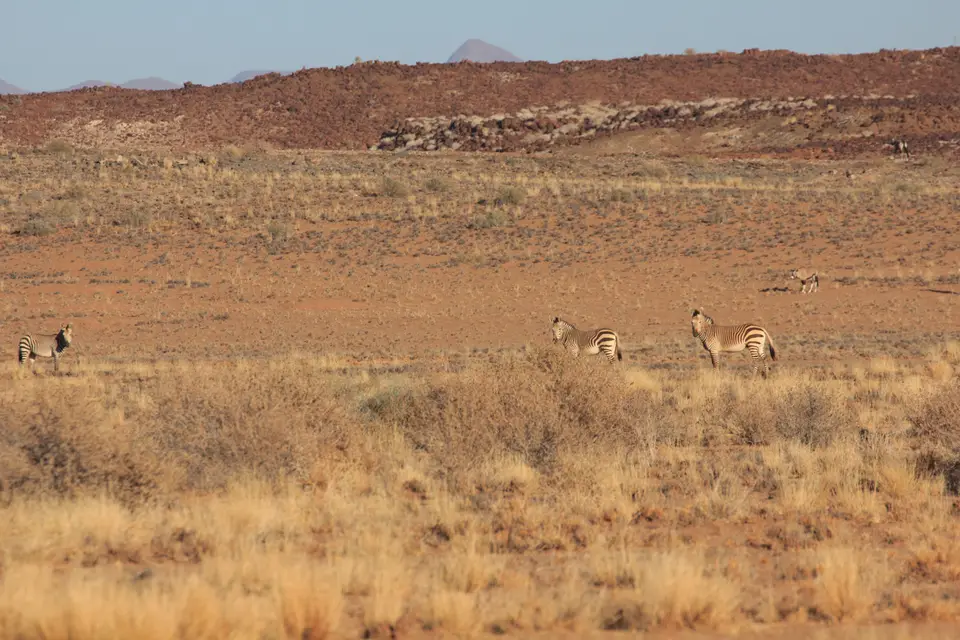 2016-Namibia-9320.jpg