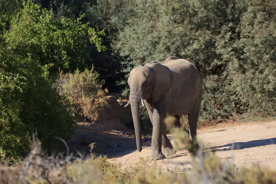 2016-Namibia-9338.jpg