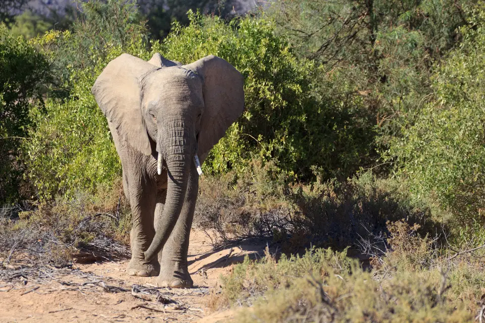 2016-Namibia-9353.jpg