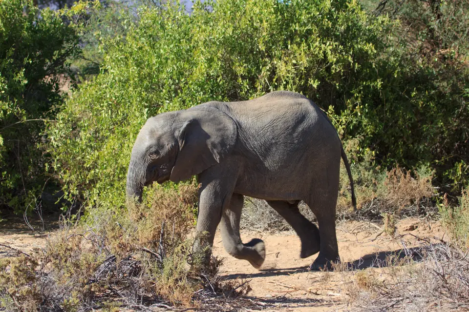 2016-Namibia-9363.jpg