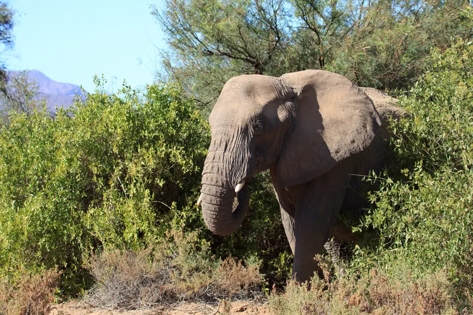 2016-Namibia-9365.jpg