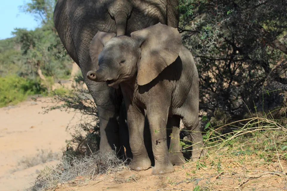 2016-Namibia-9371.jpg