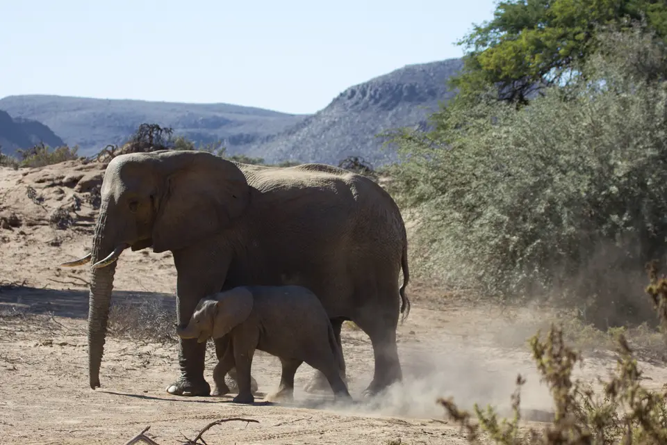 2016-Namibia-9392.jpg