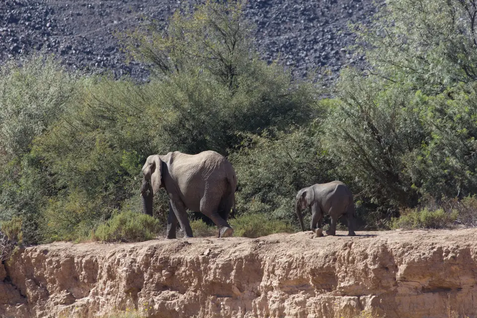 2016-Namibia-9407.jpg