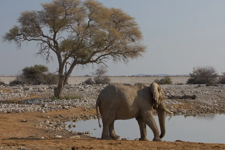 2016-Namibia-9478.jpg