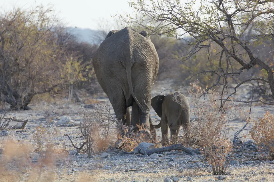 2016-Namibia-9485.jpg