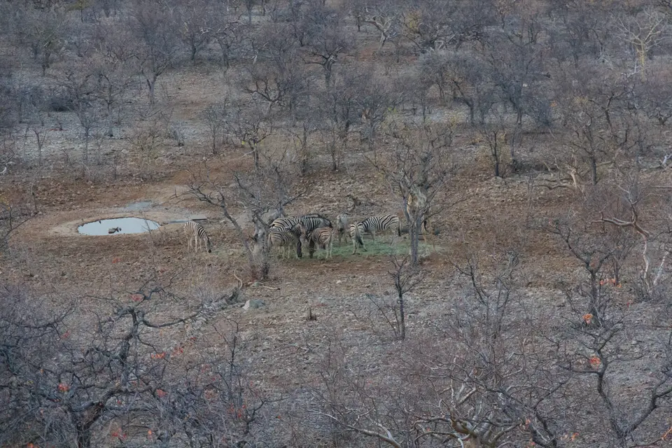 2016-Namibia-9490.jpg