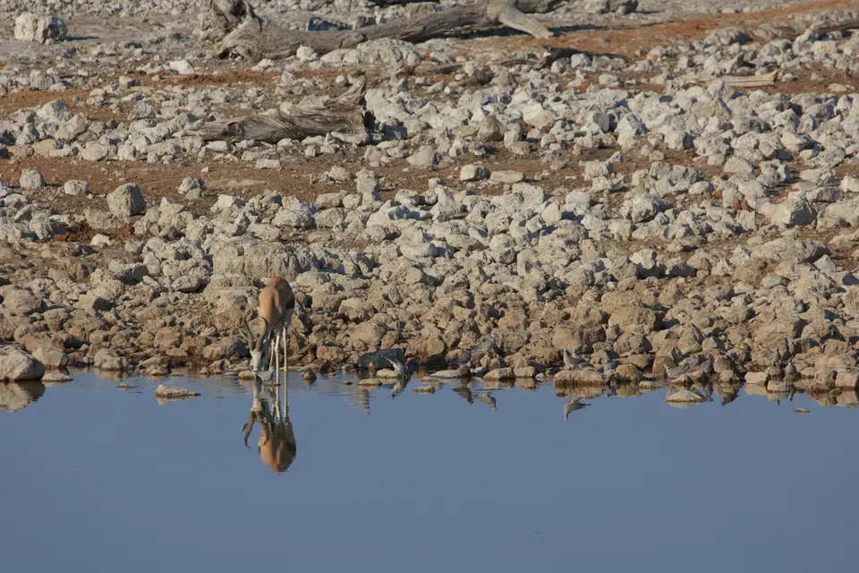 2016-Namibia-9506.jpg