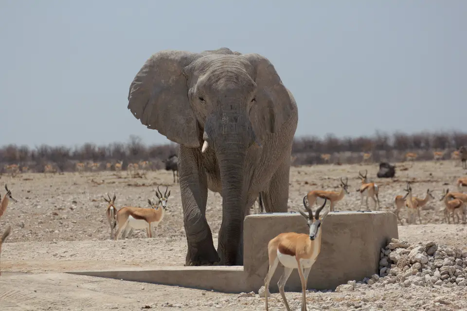 2016-Namibia-9577.jpg