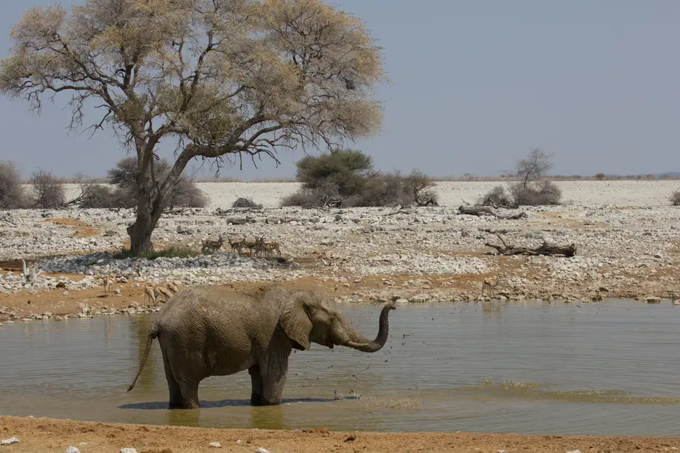 2016-Namibia-9609.jpg