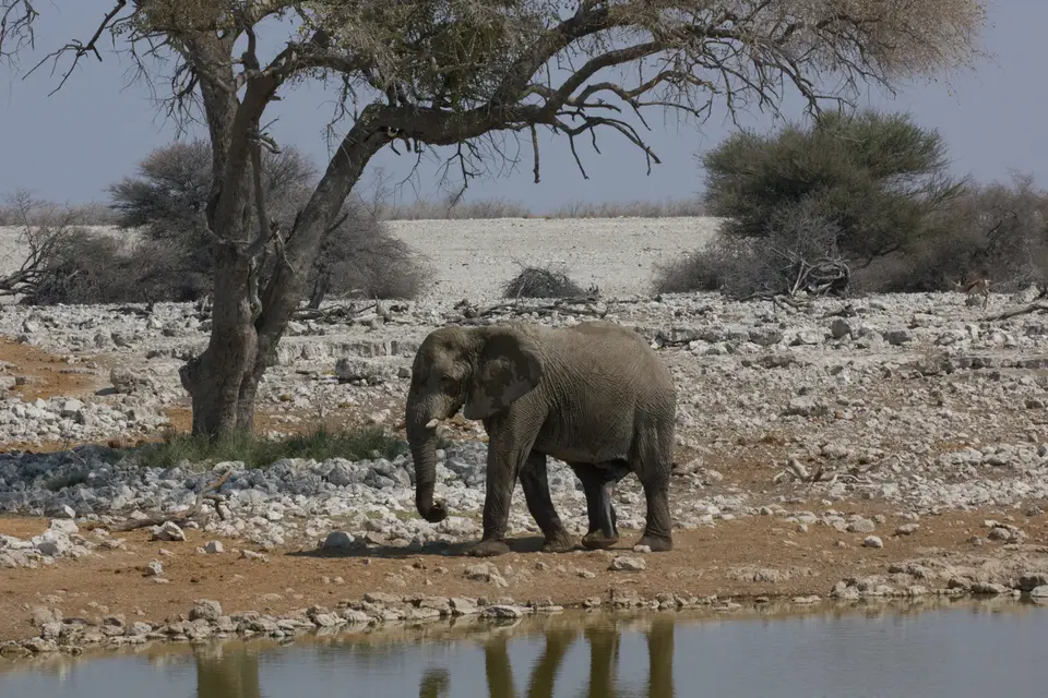 2016-Namibia-9626.jpg