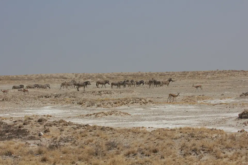 2016-Namibia-9759.jpg
