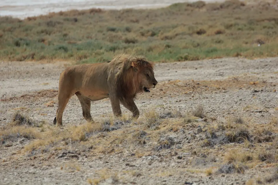 2016-Namibia-9781.jpg