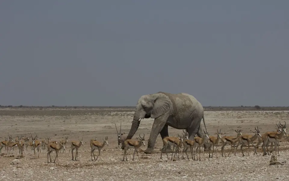 2016-Namibia-9818.jpg