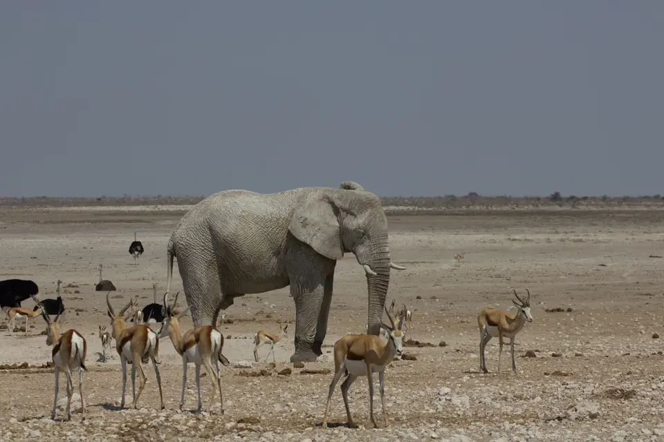 2016-Namibia-9859.jpg