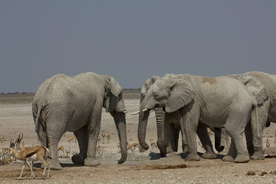2016-Namibia-9860.jpg