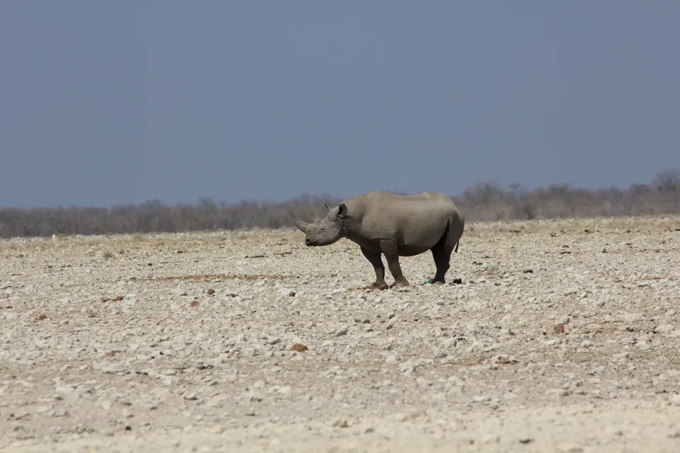 2016-Namibia-9877.jpg