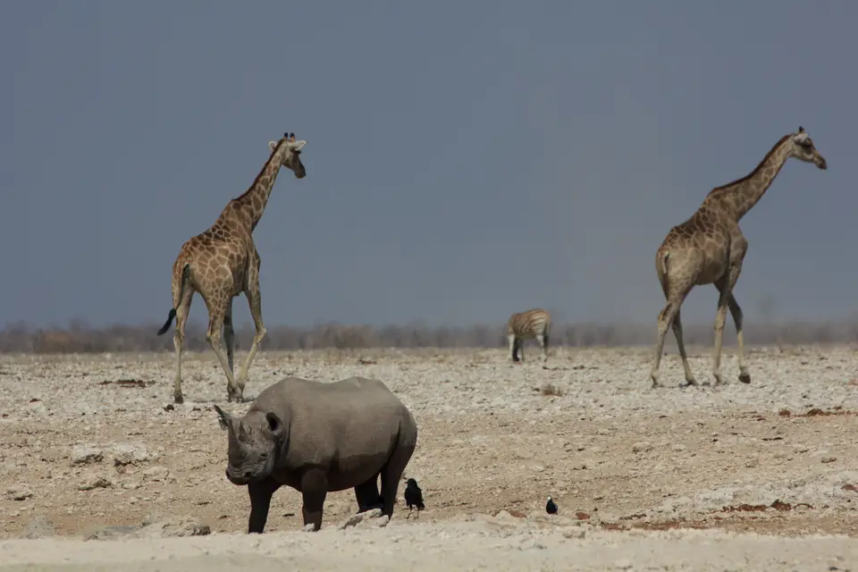 2016-Namibia-9895.jpg