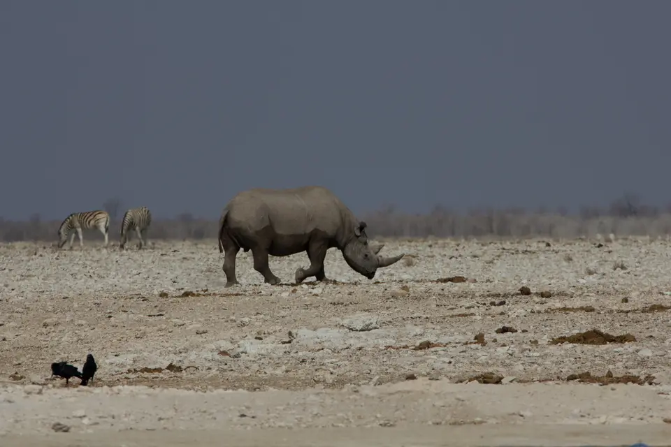 2016-Namibia-9914.jpg