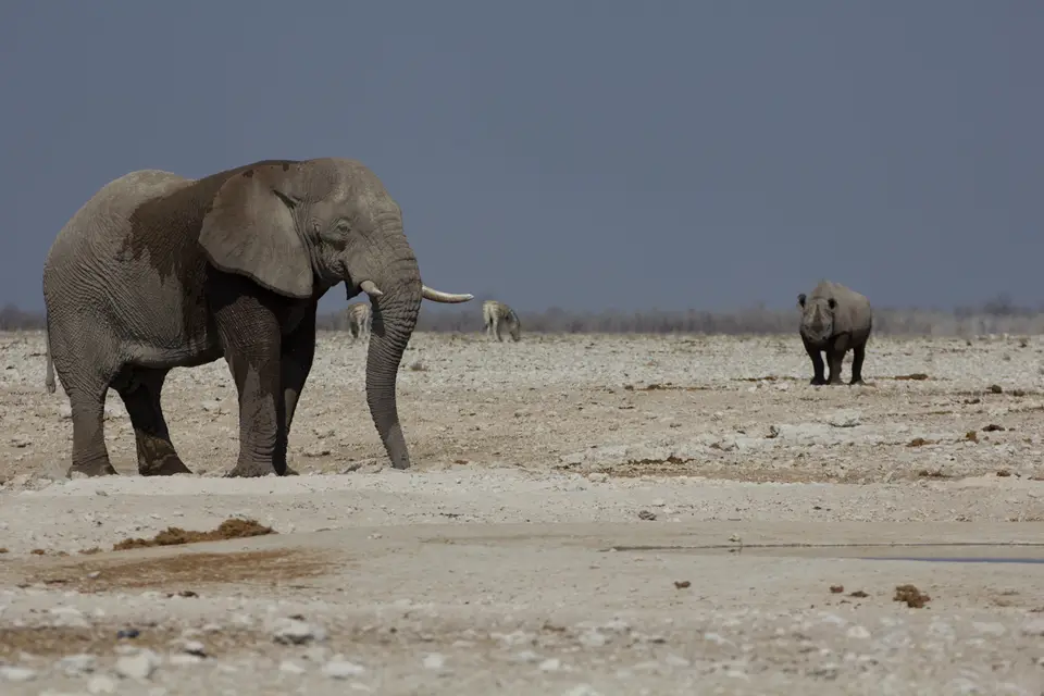 2016-Namibia-9917.jpg