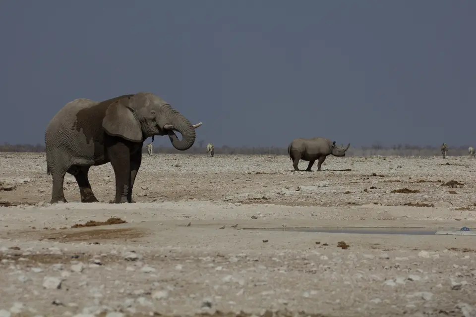 2016-Namibia-9920.jpg