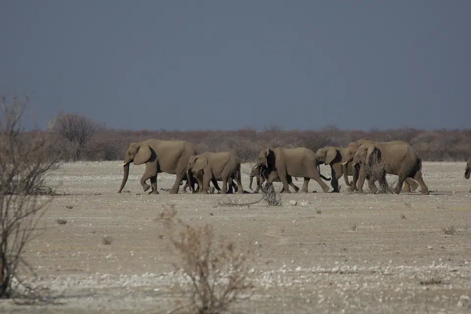 2016-Namibia-9963.jpg