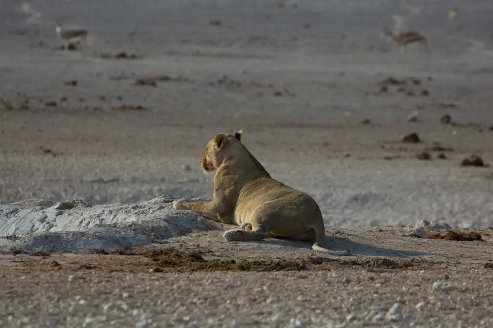 2016-Namibia-9983.jpg