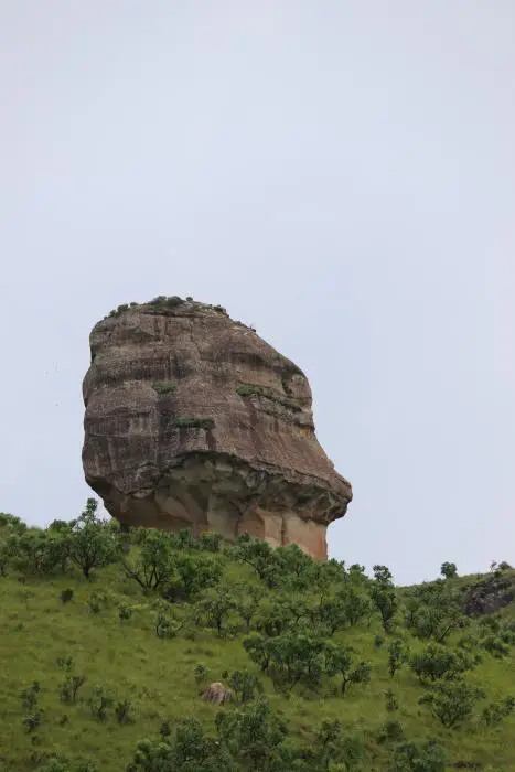 KZN10.12.jpg(101).jpg