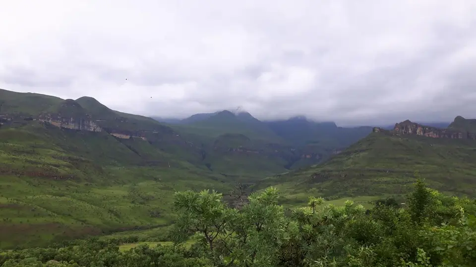 KZN10.12.jpg(110).jpg