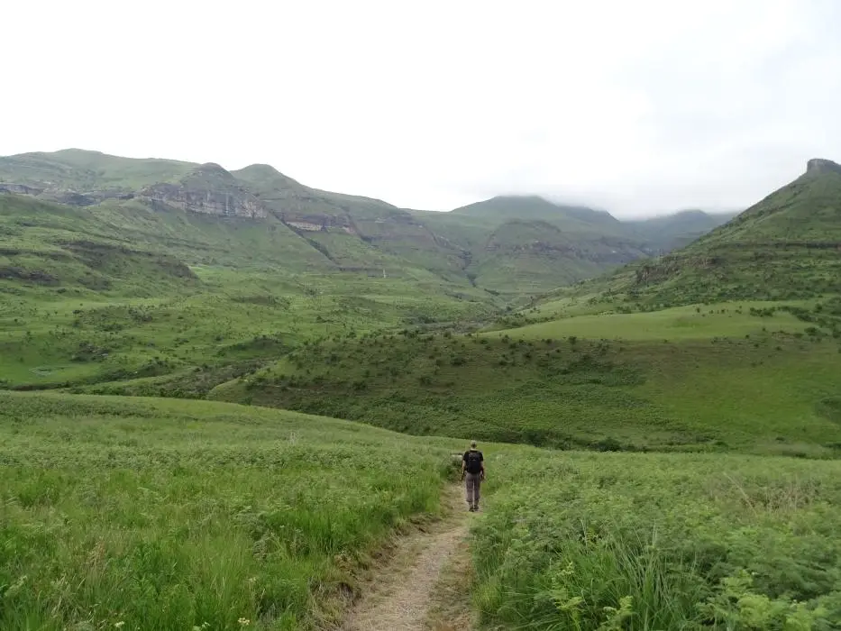 KZN10.12.jpg(16).jpg