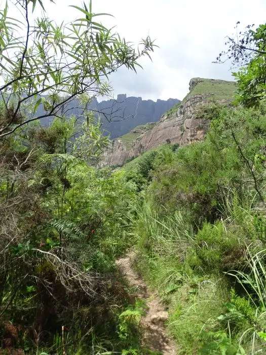 KZN10.12.jpg(45).jpg