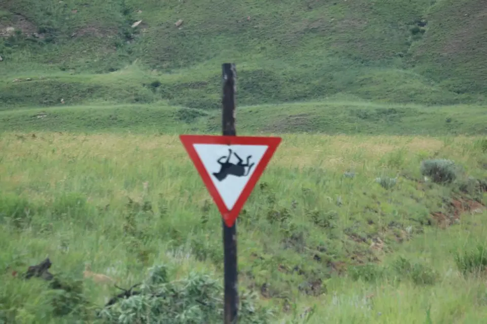 KZN10.12.jpg(8).jpg