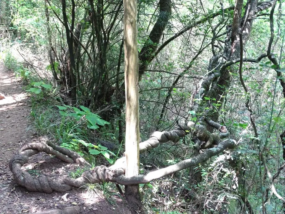 KZN10.12.jpg(84).jpg
