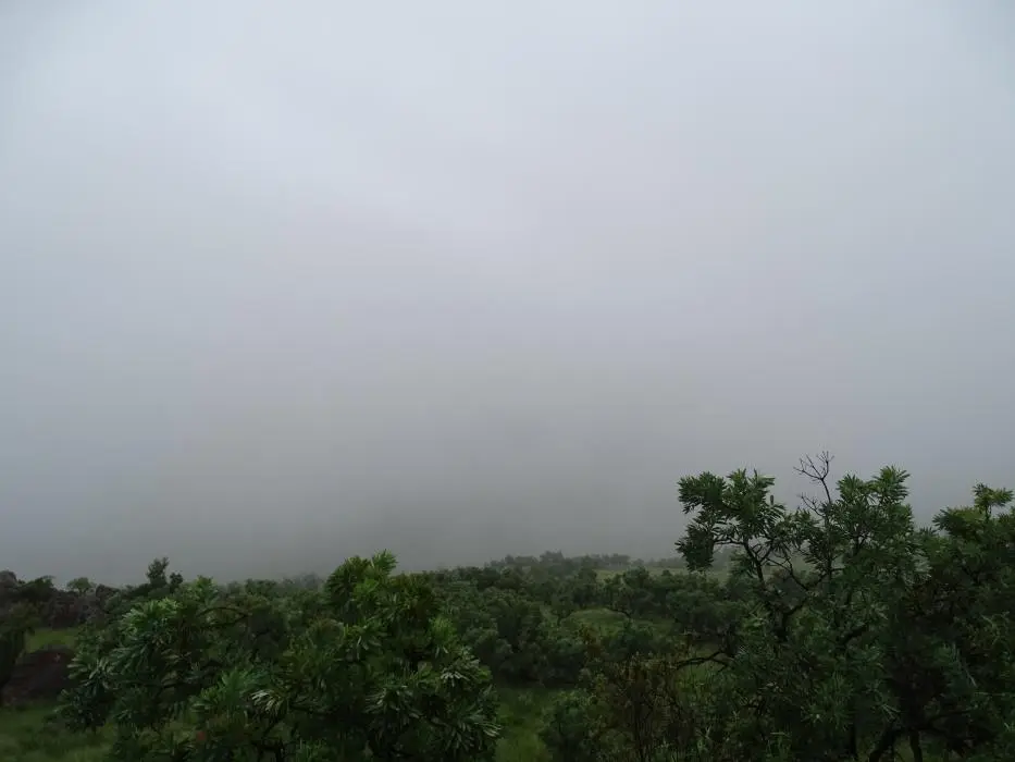KZN11.jpg(1).jpg