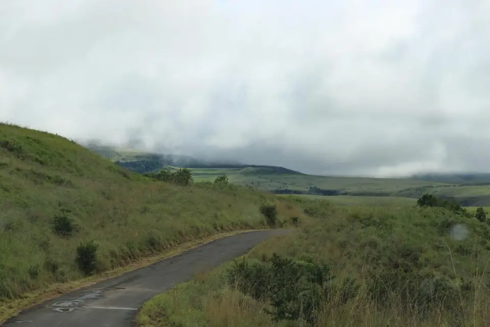 KZN11.jpg(13).jpg