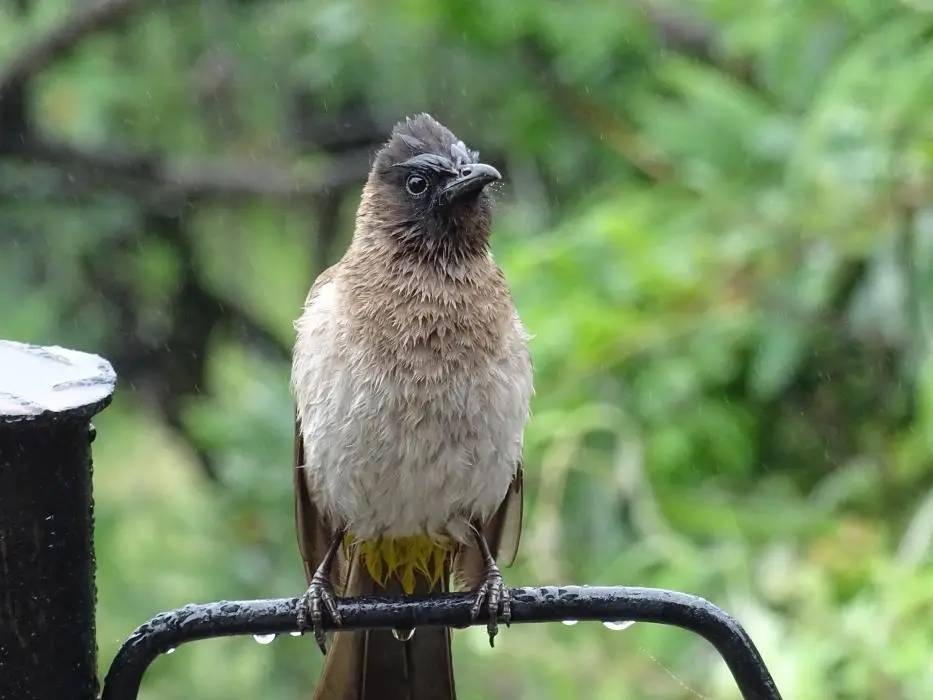 KZN11.jpg(2).jpg